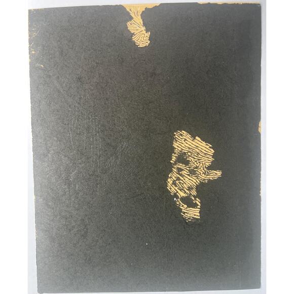 1926 Lon Chaney Double Weight Linen Photo from The Blackbird, Hollywood, Phantom - Picture 3 of 4